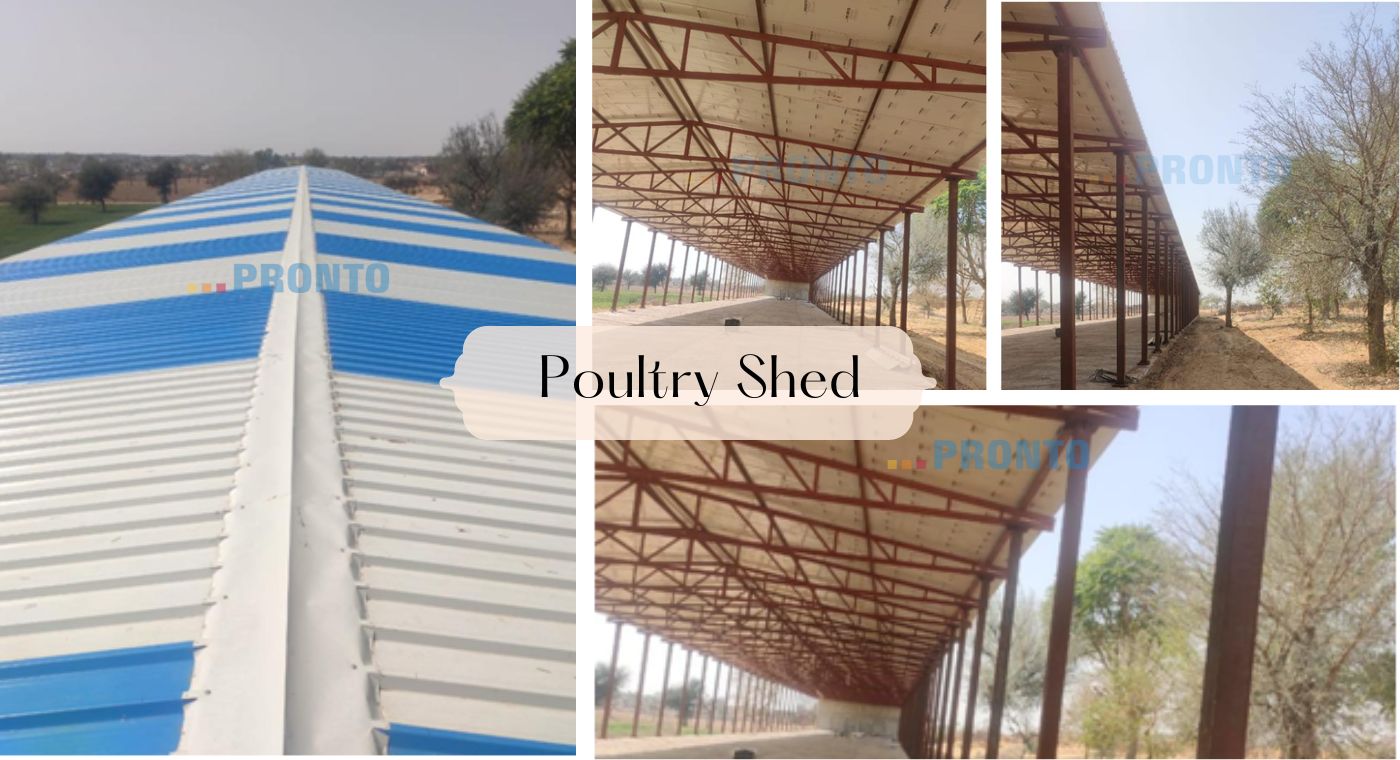Heat Proof poultry shed : Making profit through Reduced bird mortality